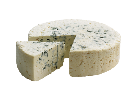 gorgonzola-castello_large.png